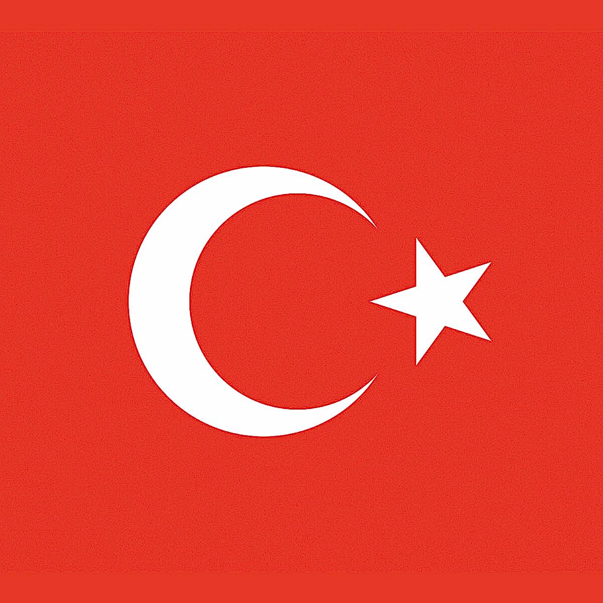 Türkçe
